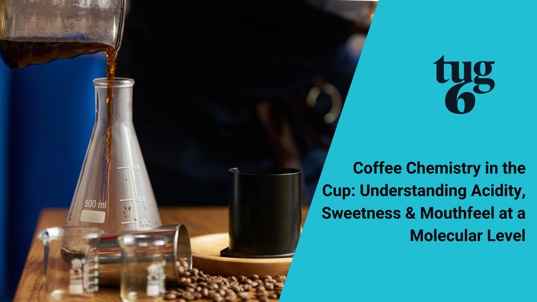 Coffee Chemistry in the Cup: Understanding Acidity, Sweetness & Mouthfeel at a Molecular Level
