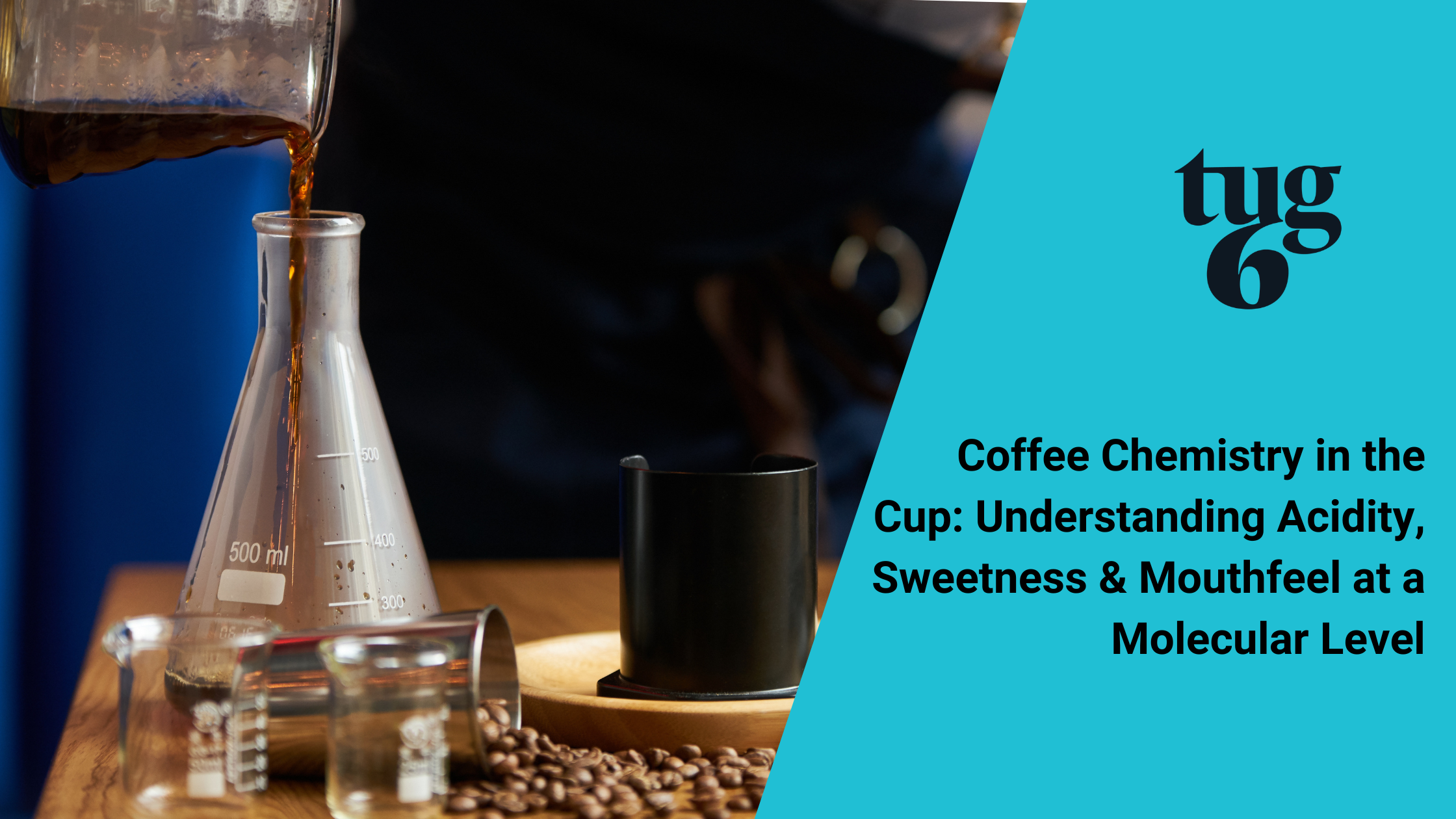 Coffee Chemistry in the Cup: Understanding Acidity, Sweetness & Mouthfeel at a Molecular Level